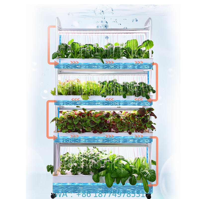 ydroponic Planting System Smar - Smart Home Automation Diy avis et prix