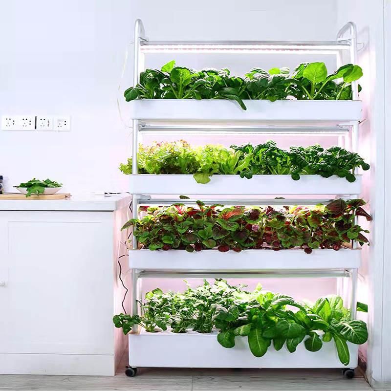 ydroponic Planting System Smar - Smart Home Automation Diy avis et prix