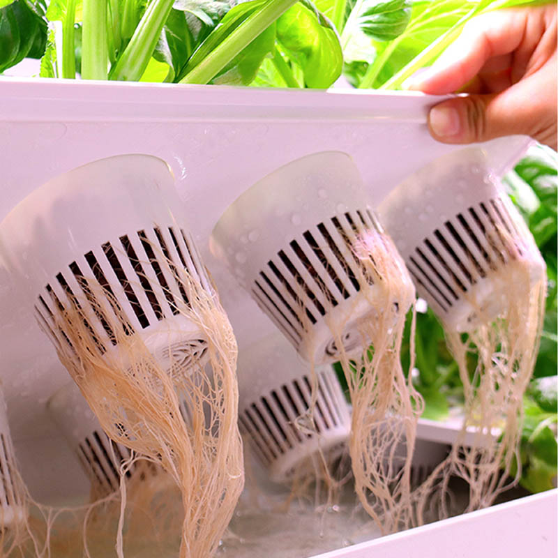 ydroponic Planting System Smar - Smart Home Automation Diy avis et prix