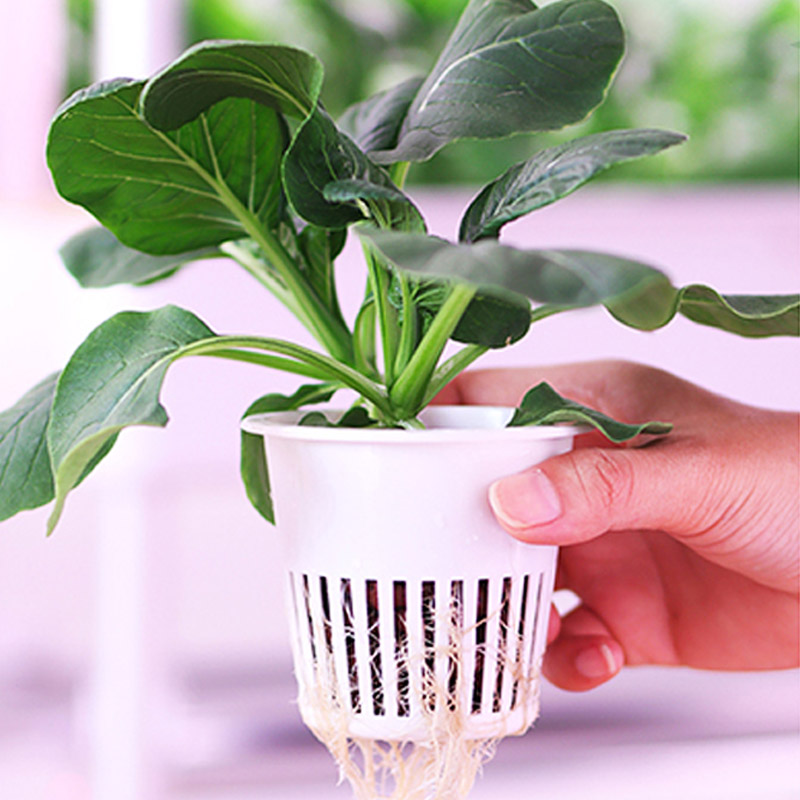 ydroponic Planting System Smar - Smart Home Automation Diy avis et prix